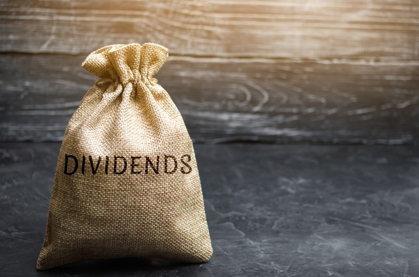 bdc-dividend-strategies-sustainability-and-risks